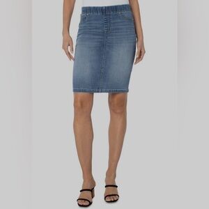 Liverpool Chloe pencil skirt size 8/29 nwt